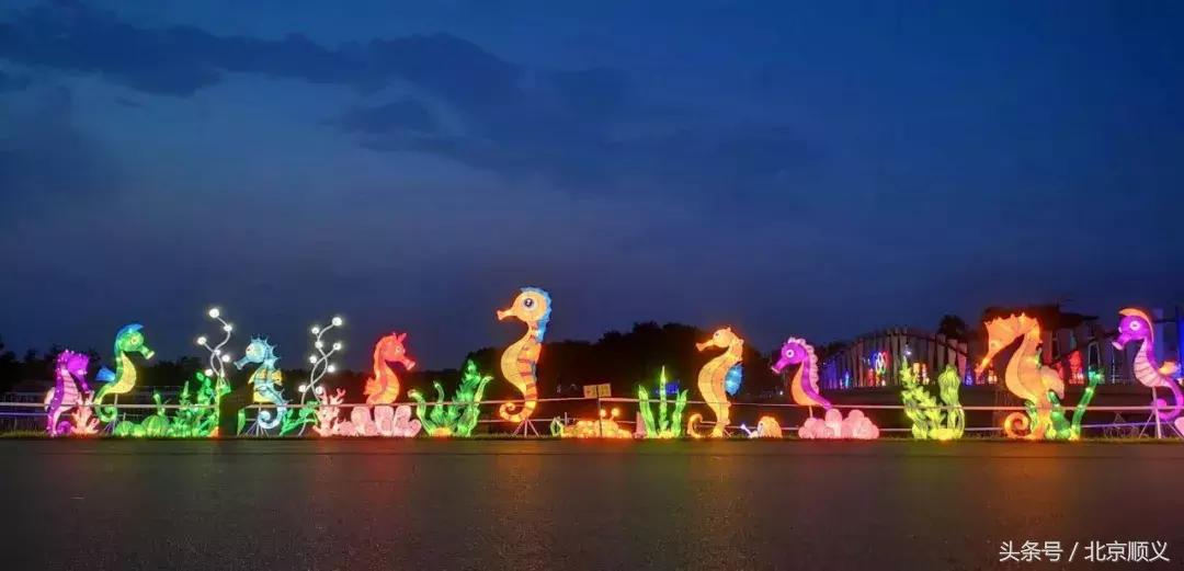 顺义水上公园游玩项目,顺义水上公园