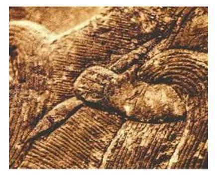 初学毛笔握笔正确姿势有几种,毛笔转笔姿势