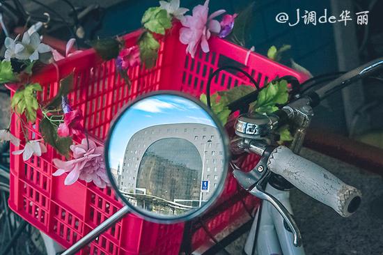 欧洲行荷兰鹿特丹,去荷兰看梵高