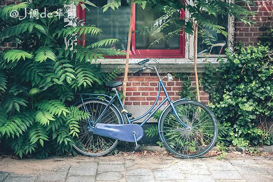 欧洲行荷兰鹿特丹,去荷兰看梵高