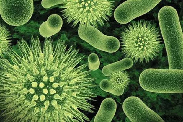 狗狗长螨虫怎么治才能好,狗狗体外驱虫对狗狗有伤害吗