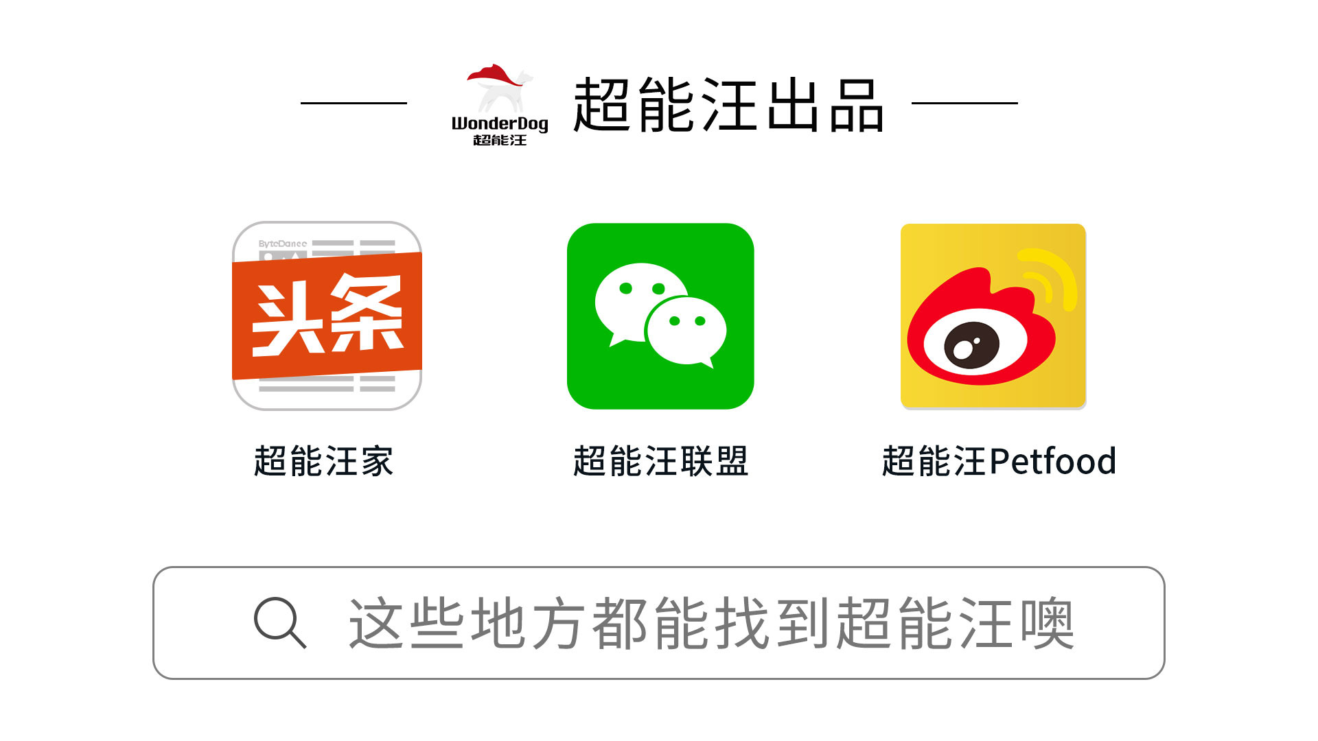 狗狗长螨虫怎么治才能好,狗狗体外驱虫对狗狗有伤害吗