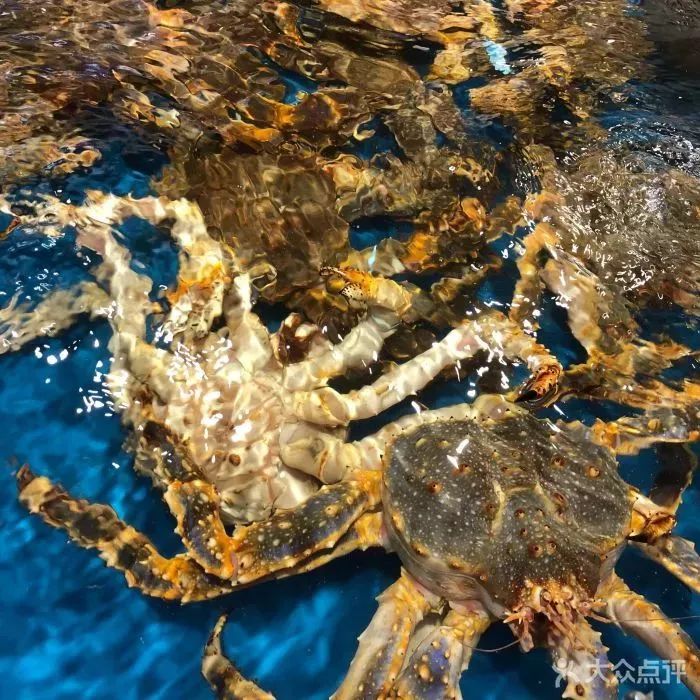 在十里堡住过的,都经历过一段传奇!