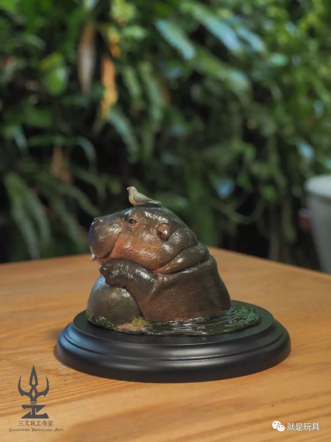 这只网红河马比你家喵星人都可爱!