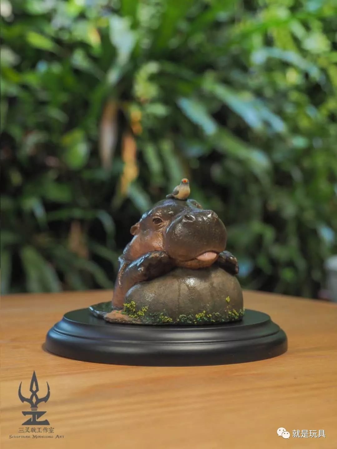 这只网红河马比你家喵星人都可爱!