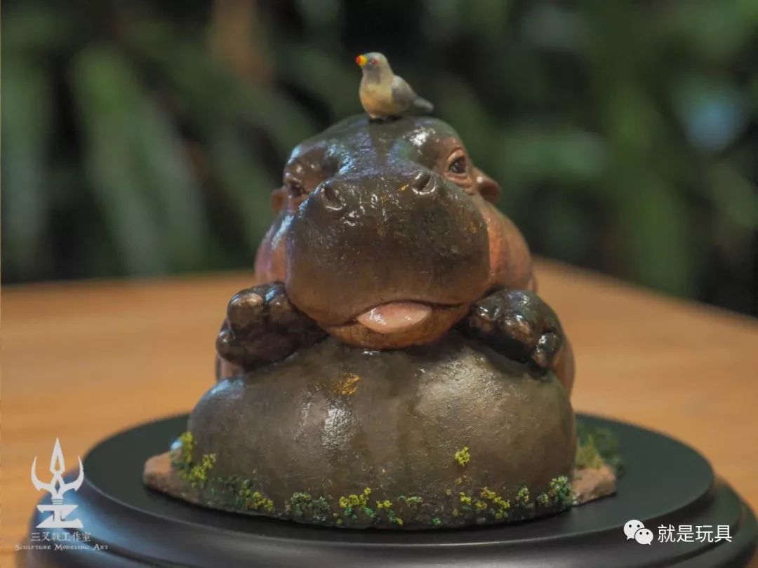 这只网红河马比你家喵星人都可爱!