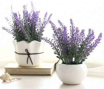 薰衣草怎么开花最香又好看,薰衣草开花方法步骤图