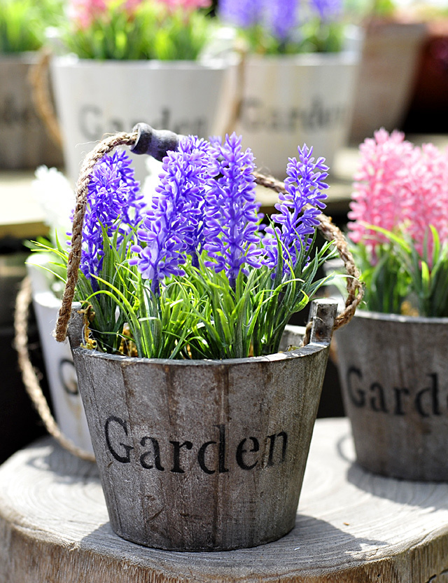 薰衣草怎么开花最香又好看,薰衣草开花方法步骤图
