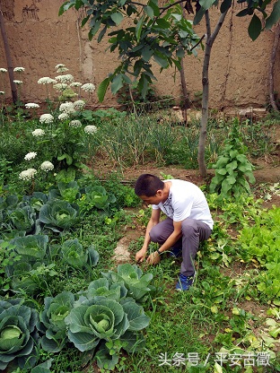 “多么好的人,怎么就走了……”——追忆澄城县公安局结对帮扶干部杨勇同志