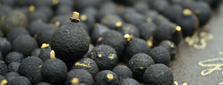 新会柑胎打什么药好 (新会小柑胎100克)