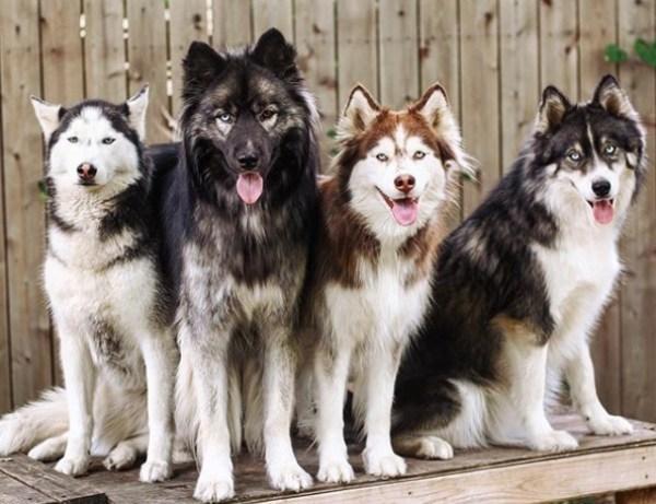 蝴蝶不愿待在手上怎么办,蝴蝶不请自来是什么意思怎么解释