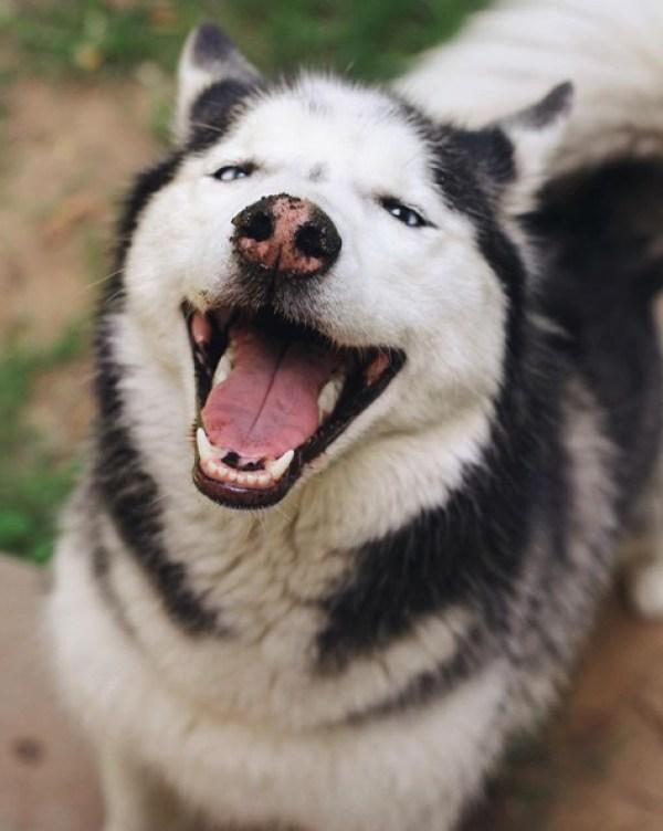 蝴蝶不愿待在手上怎么办,蝴蝶不请自来是什么意思怎么解释