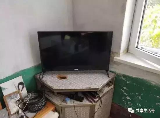 拼多多售假一般多久处理好,拼多多店家投诉售假一定会成功吗