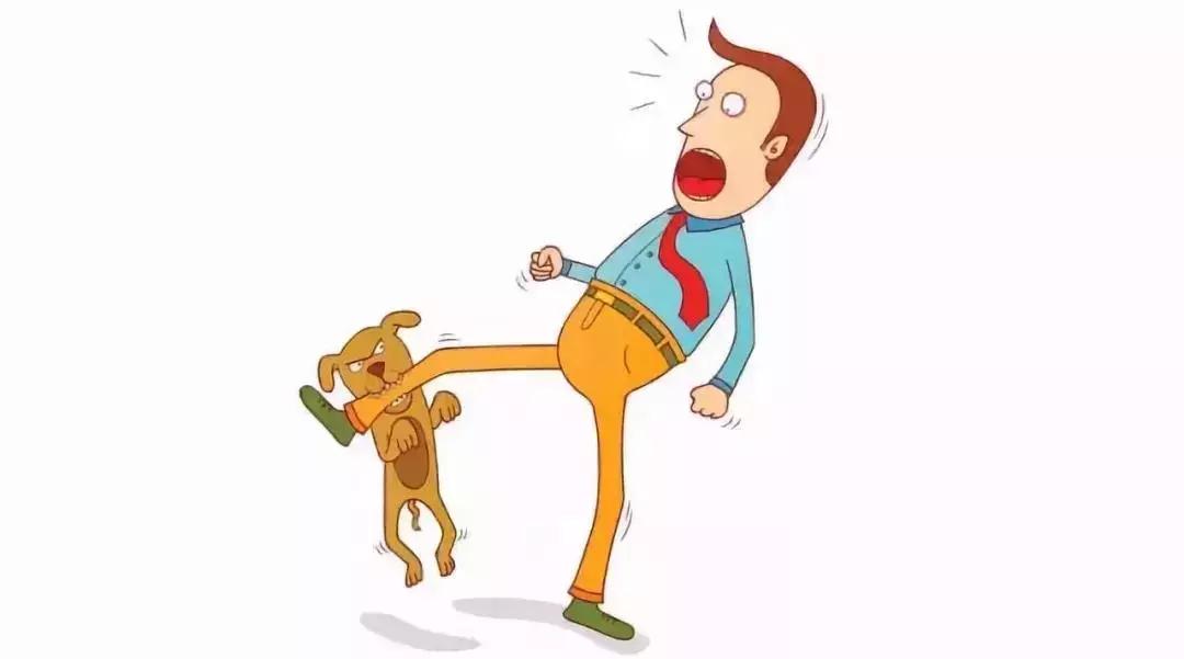 狂犬病科普知识讲解,关于狂犬病毒的科普知识文章