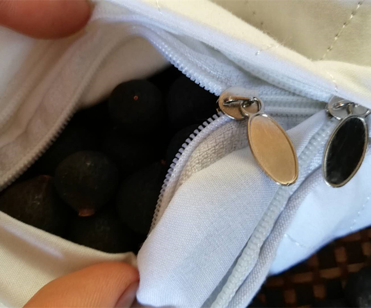 新会柑胎打什么药好 (新会小柑胎100克)