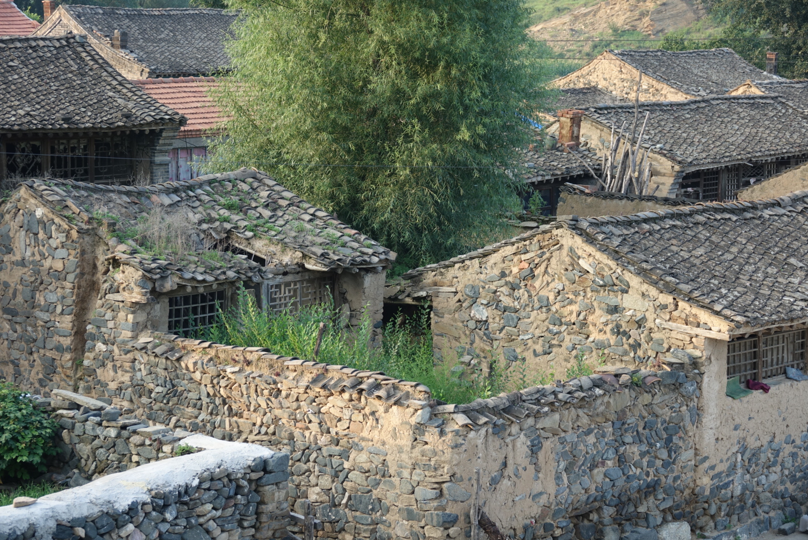 ｜朱启臻产业兴旺的含义