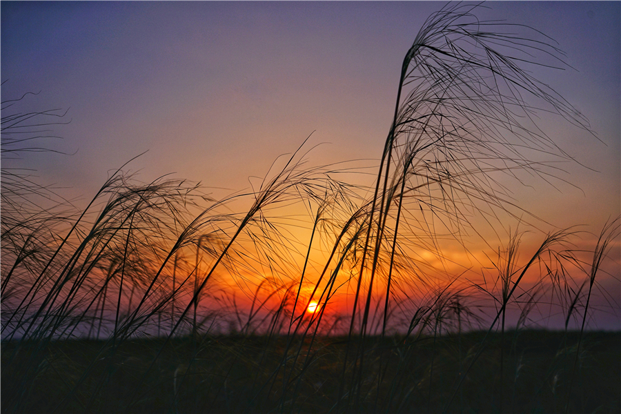 内蒙古鄂尔多斯大草原骑马,鄂尔多斯大草原骑马