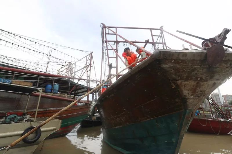 警营里的八一情,警营八一情