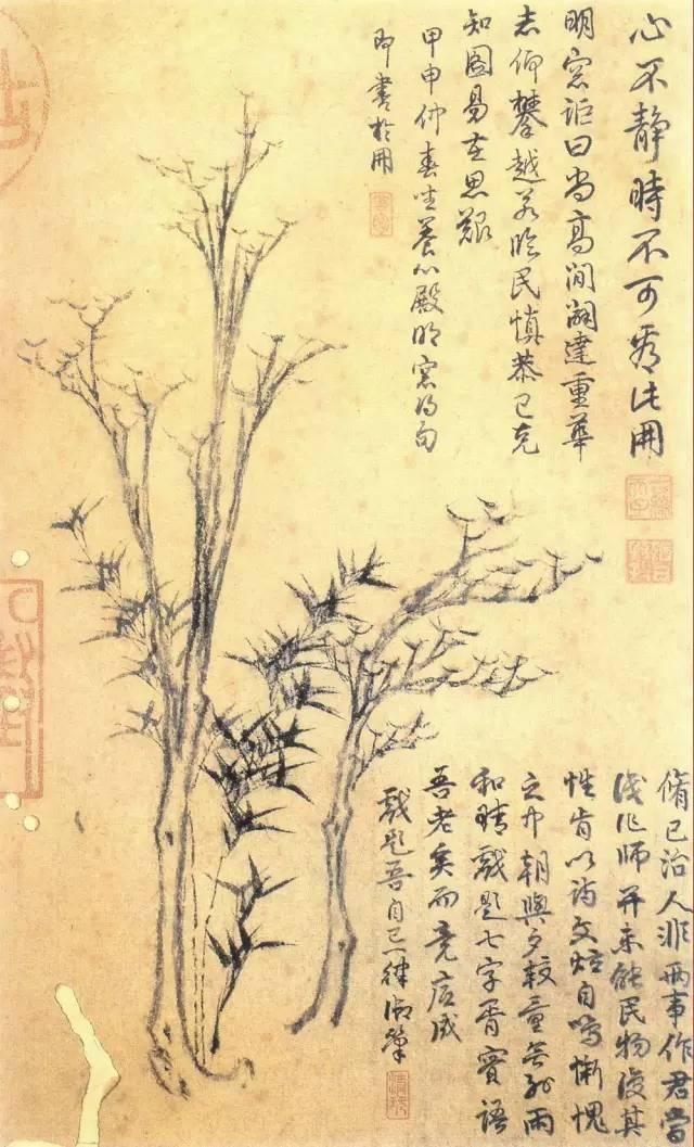 倪瓒洁癖真实吗,倪瓒的厕所是什么样的