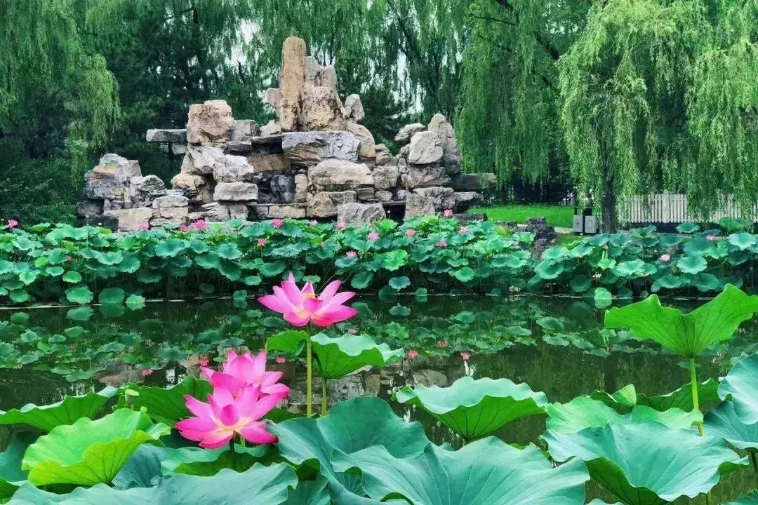 燕京u8啤酒节昌平,omg啤酒节