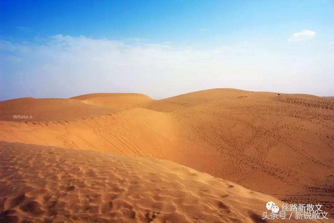 在新疆拍的电影,在新疆地区拍的电影