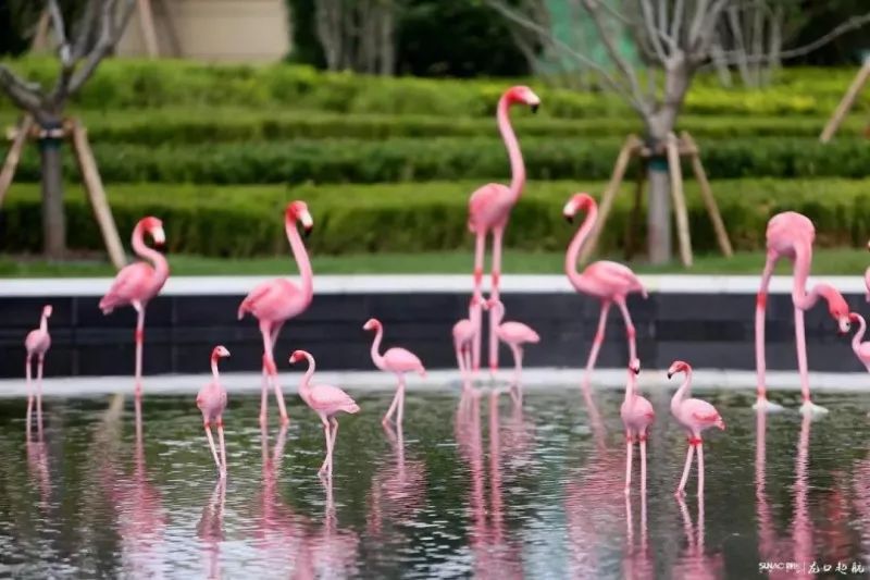 烟台山网红打卡地最值得看的,龙口打卡景点