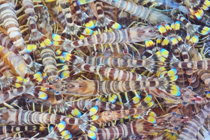 烟台山网红打卡地最值得看的,龙口打卡景点