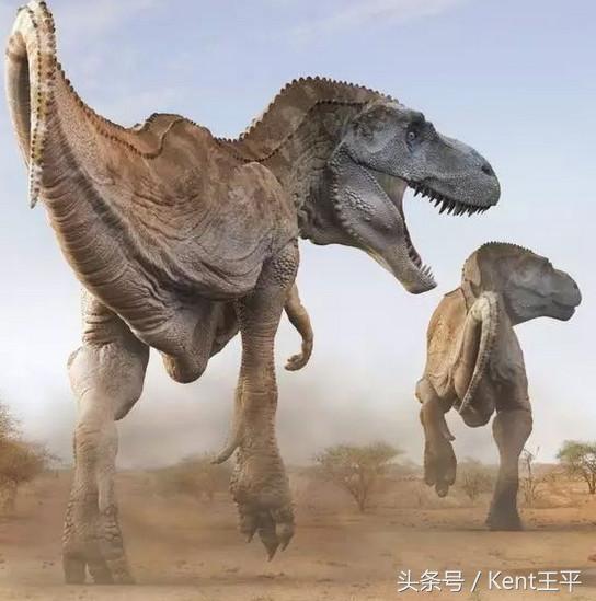 霸王龙的天敌食肉恐龙,巨型食肉牛龙对战霸王龙