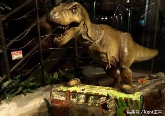 霸王龙的天敌食肉恐龙,巨型食肉牛龙对战霸王龙