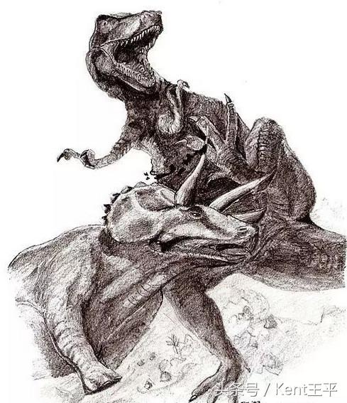霸王龙的天敌食肉恐龙,巨型食肉牛龙对战霸王龙