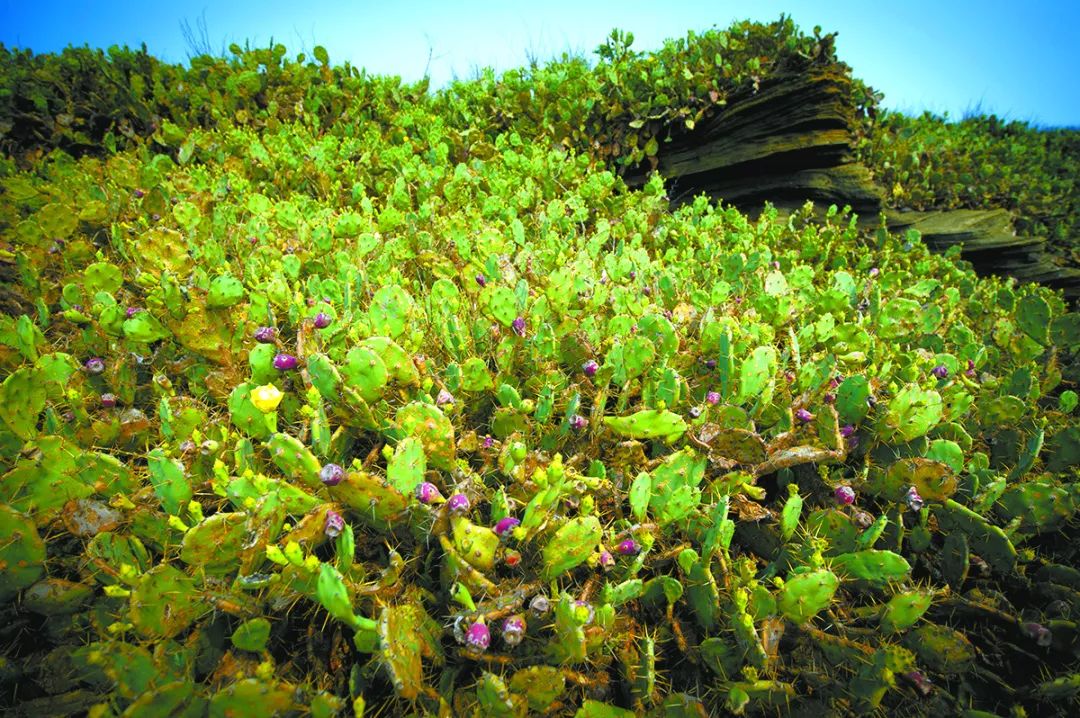 中国最美丽的地方北海涠洲岛,带你畅游北海美丽的涠洲岛