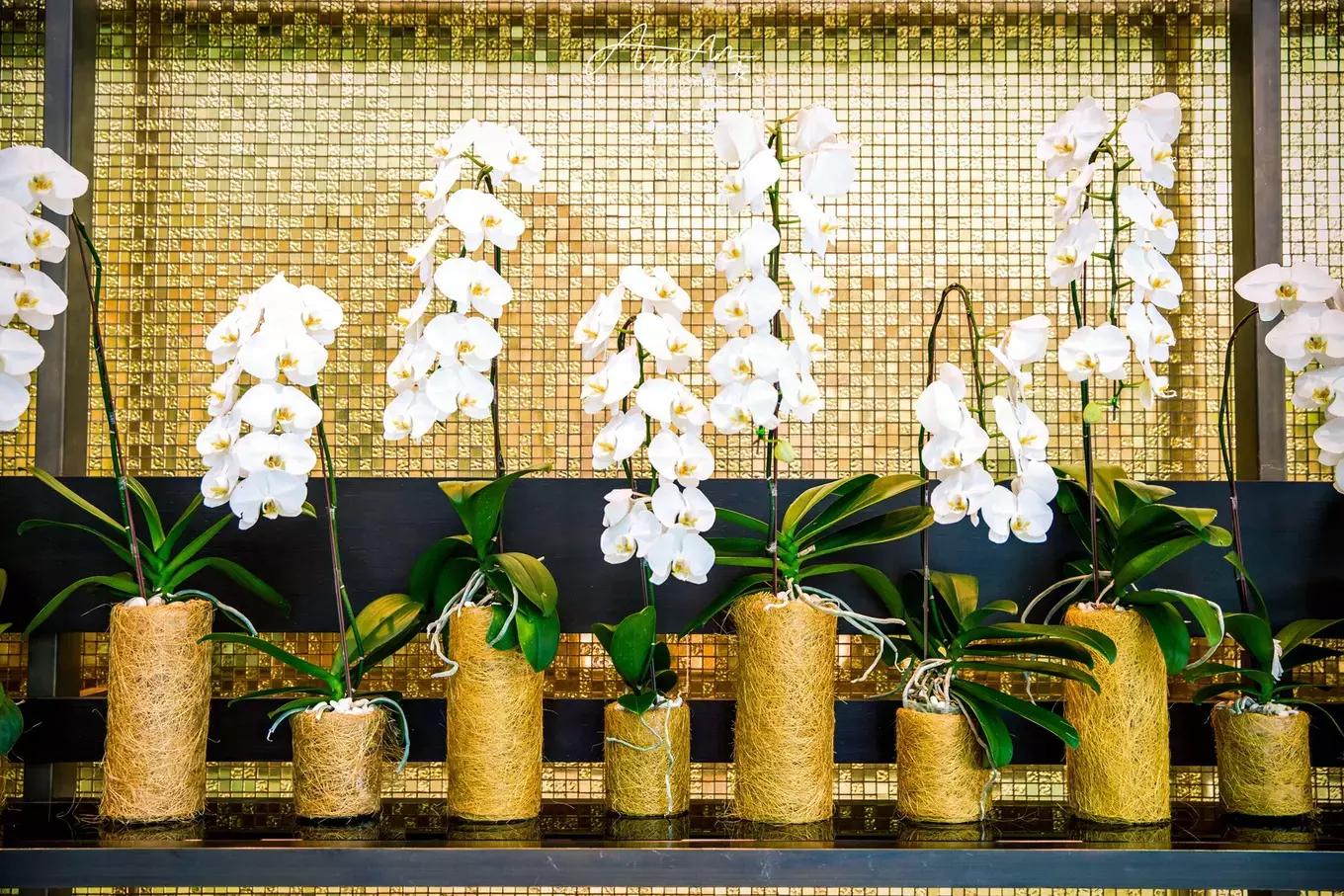 拥抱你的烈日暴雨,开启曼谷华新六日度假购物模式(上)