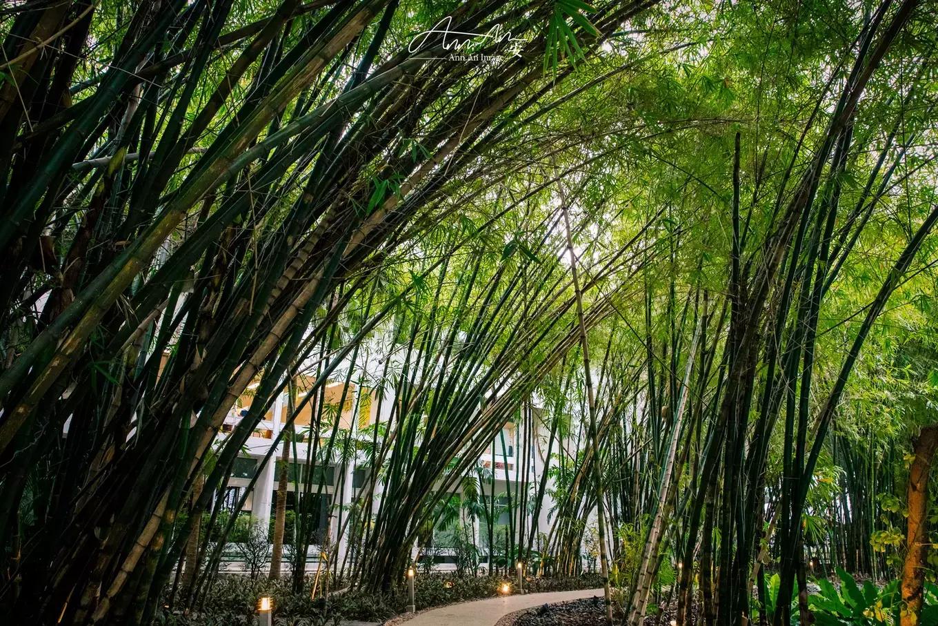 拥抱你的烈日暴雨,开启曼谷华新六日度假购物模式(上)