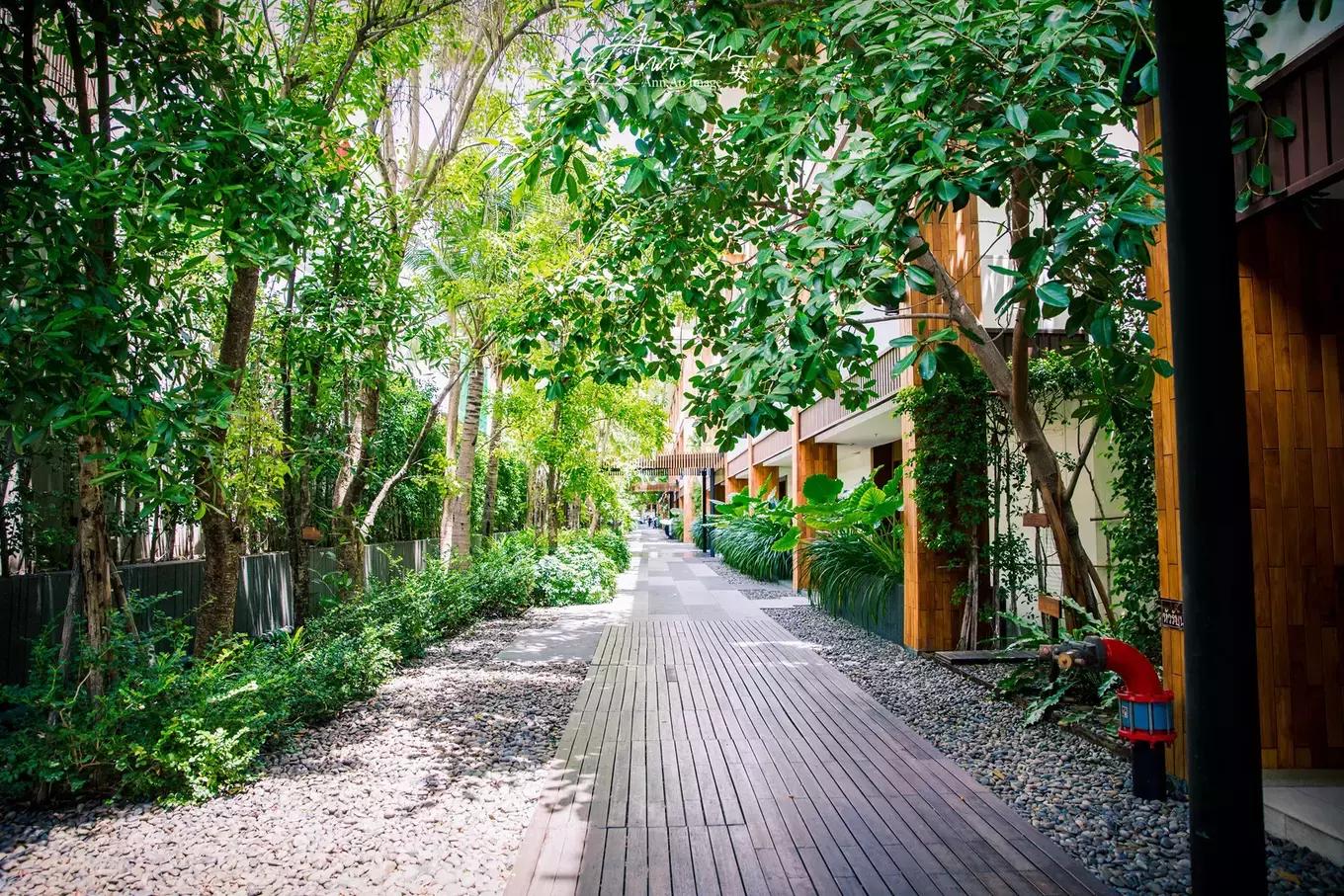 拥抱你的烈日暴雨,开启曼谷华新六日度假购物模式(上)