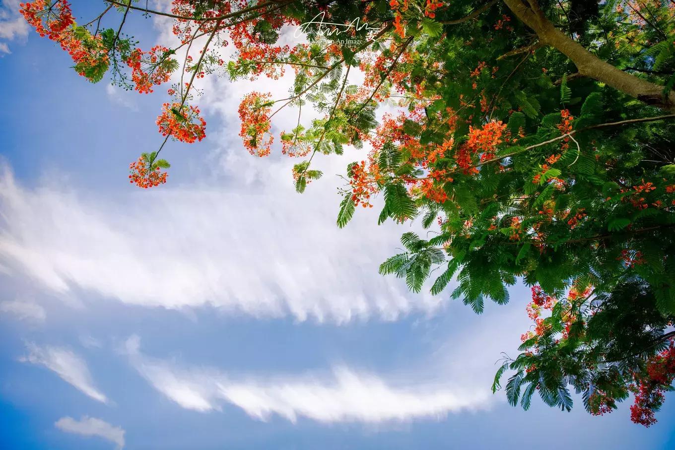 拥抱你的烈日暴雨,开启曼谷华新六日度假购物模式(下)