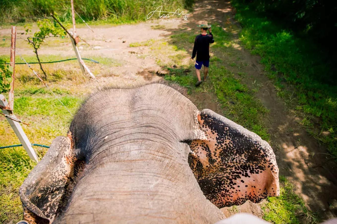 拥抱你的烈日暴雨,开启曼谷华新六日度假购物模式(下)