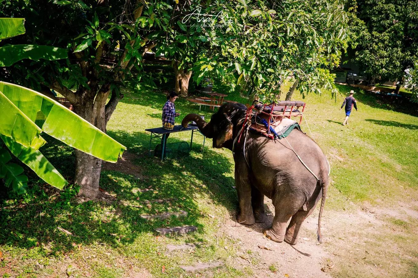 拥抱你的烈日暴雨,开启曼谷华新六日度假购物模式(下)