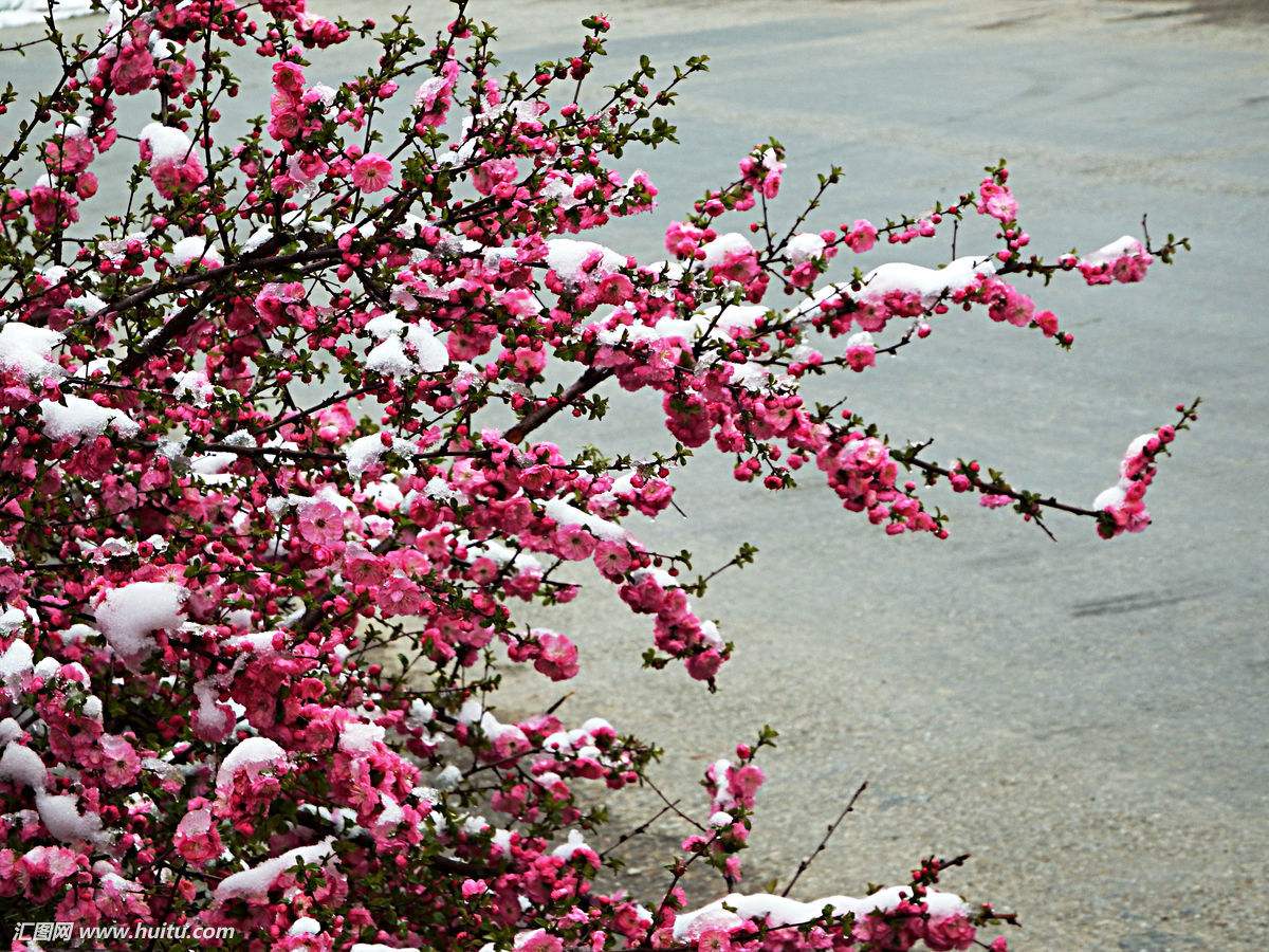 八字官星靠不住,八字官星旺身弱的人