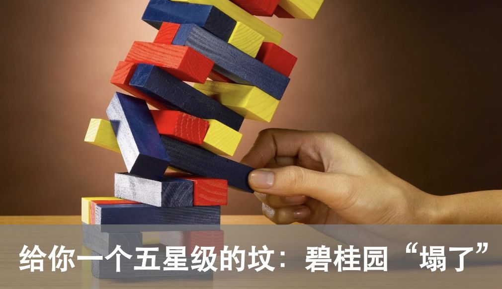 斗鱼大主播陈一发儿,斗鱼一姐陈一发发展史