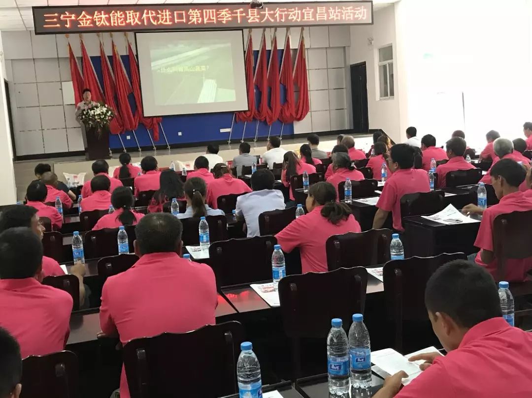 三宁与新洋丰,三宁玉米肥