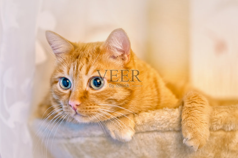 别人问我howareyoutoday怎么回复,老外问候howareyou如何回复