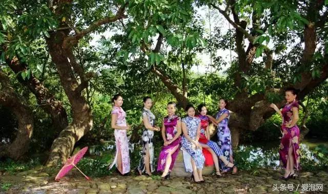 广西最大的红树林湿地,广西最大红树林湿地