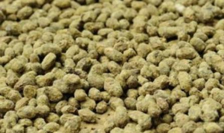 纯手工瓜豆酱,瓜豆酱用什么制作