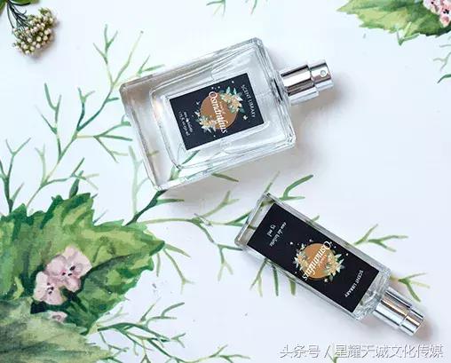 书香味香水推荐,几乎零差评的五款香水