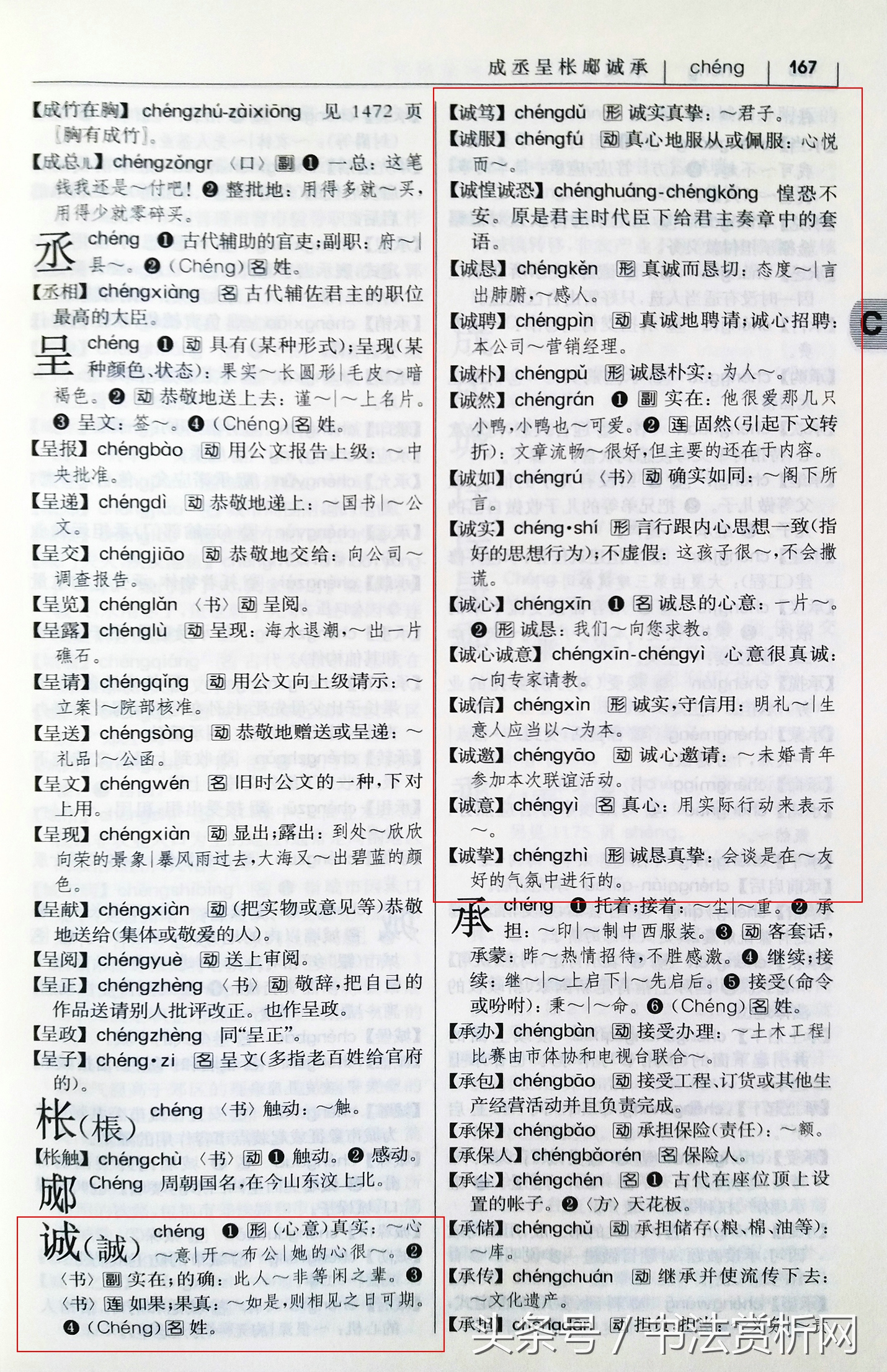诚字硬笔书法练字,诚字的硬笔书法练习