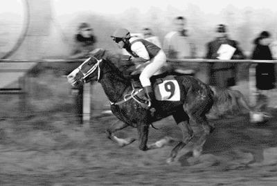 十赌九输看出什么了,十赌九输的真实讲解