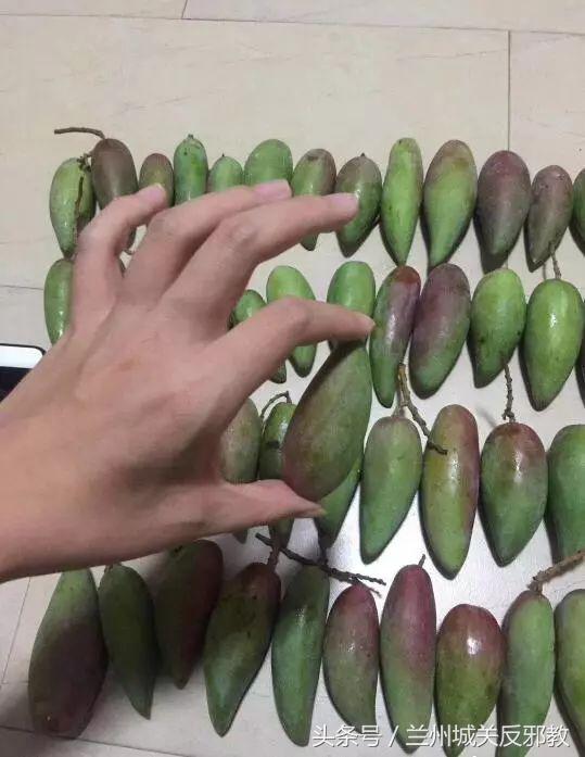 感谢拼多多平台的话,感谢拼多多让我购物自由