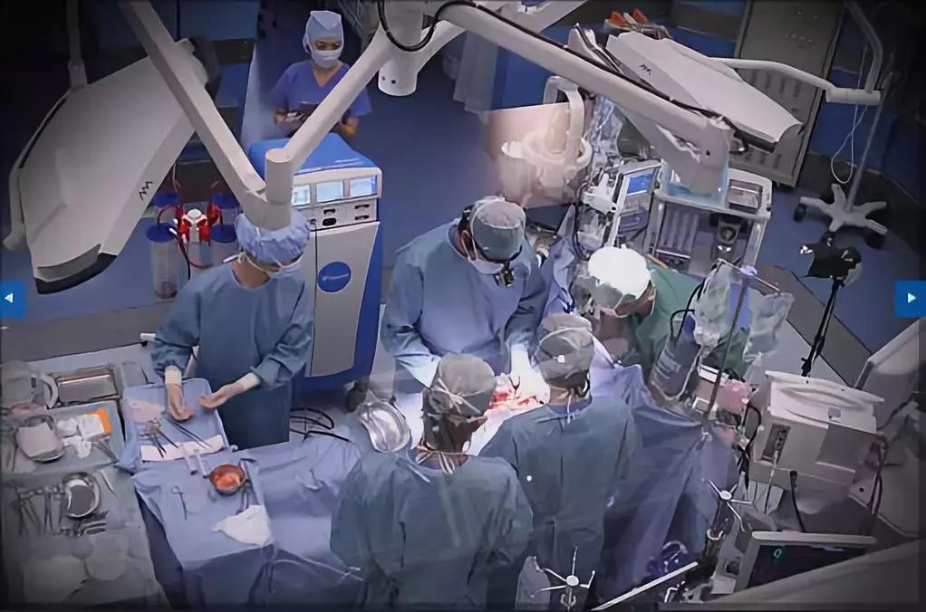 知道日本还有这些暖心窝的国民福利,99%的国人应该不淡定