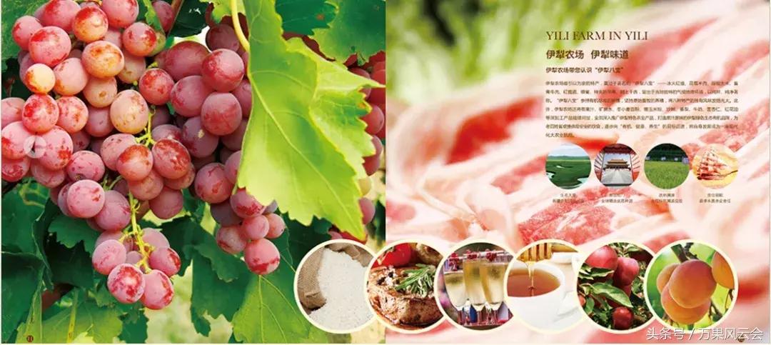 55元一斤的水果有哪些,5-6元一斤的水果有哪些