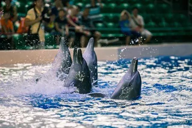 暑期陪娃游长隆海洋王国,这个暑假去珠海海洋王国多人吗